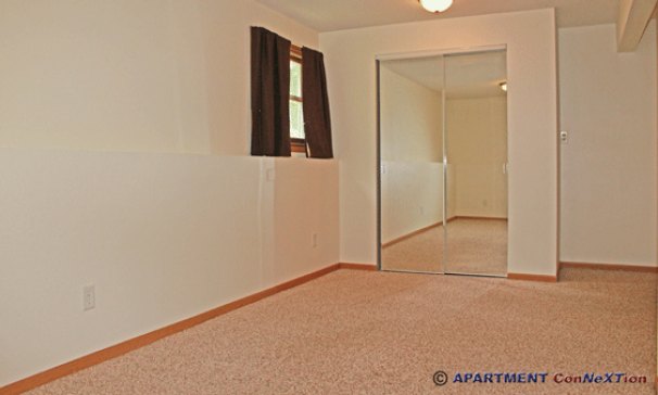 Family Room (Lower Level)