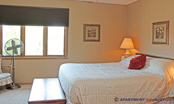 Bedroom 1 (Main Floor)