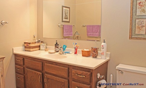 Bathroom 1 (Main Floor)