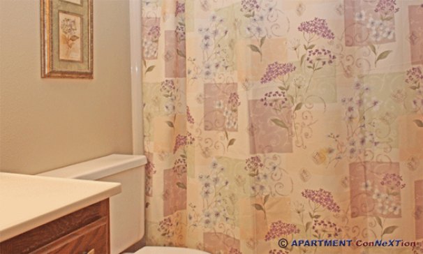 Bathroom 1 (Main Floor)