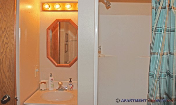 Bathroom 2 (Lower Level)