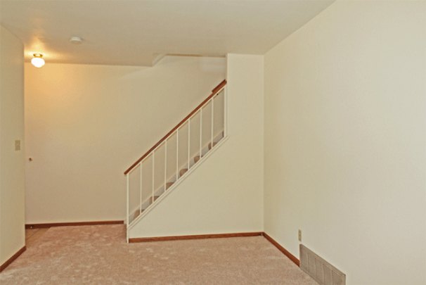 Family Room (Lower Level)