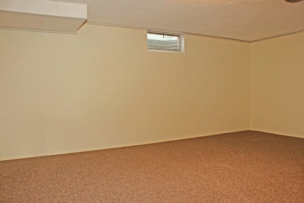 Family Room (Lower Level)