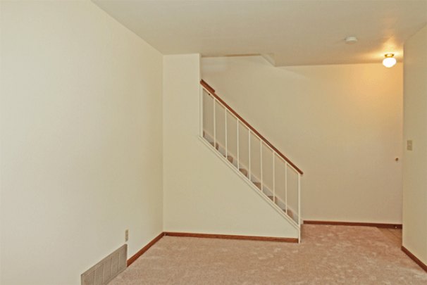 Family Room (Lower Level)