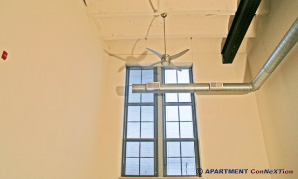 2-Story Living Room Windowsq