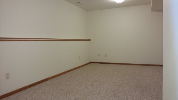 Downstairs Family Room