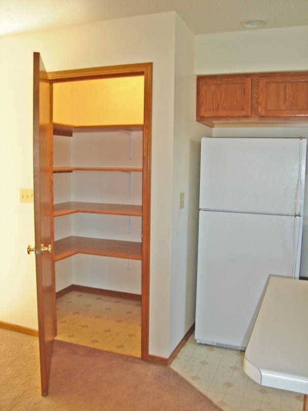 Awesome Kitchen Pantry