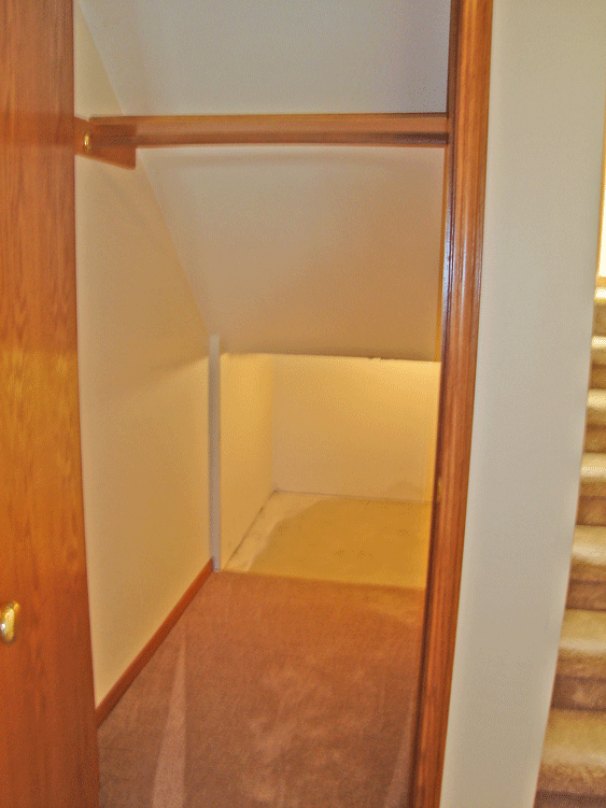 Under Stairs Storage