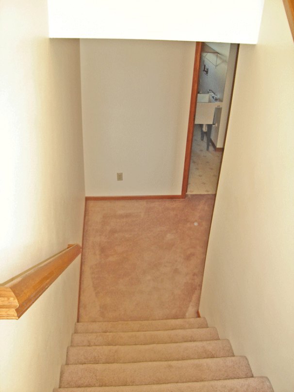 Entry Steps (down to lower level)