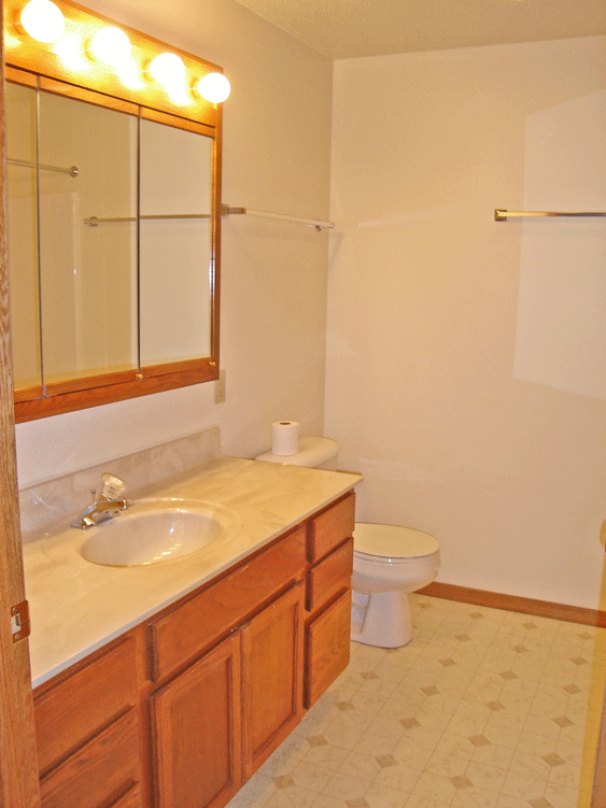 Lower Bathroom