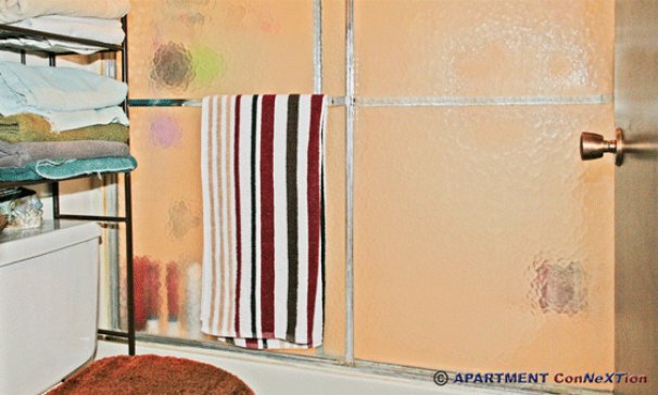 Bathroom Full Tub / Shower