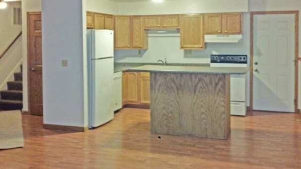 Living Room / Kitchen