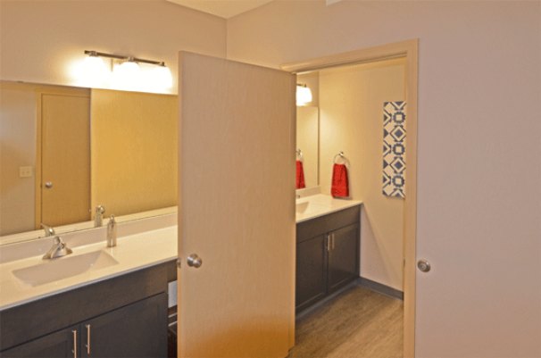 Double Sink Vanity Bathroom