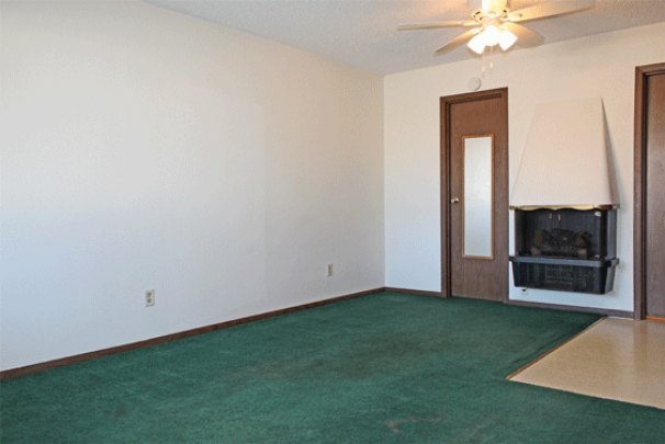 Living / Sleeping Area