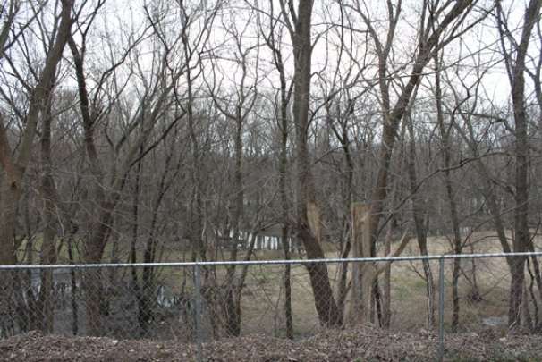 View over Nature Conservancy