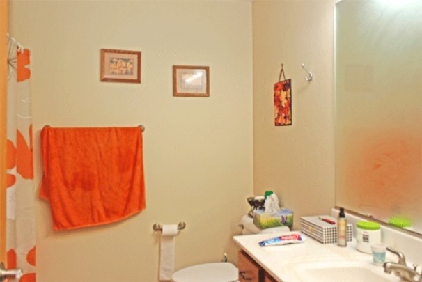 Bathroom 2 (Lower Level)