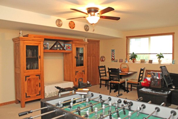 Family Room (Lower Level)