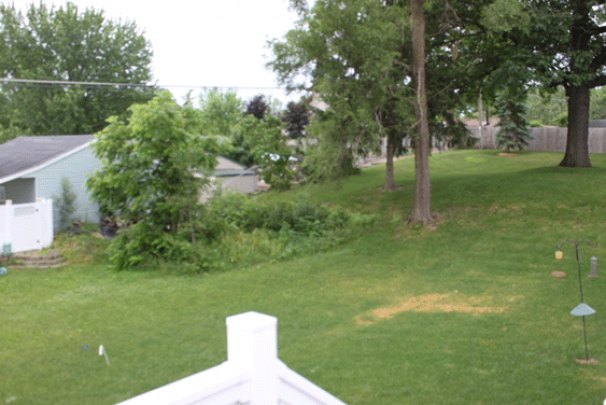 Back Yard from Deck