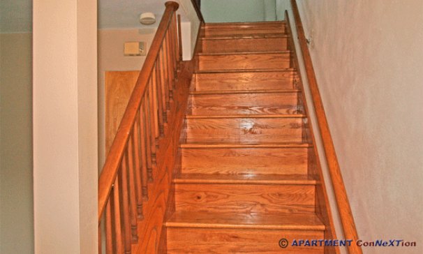 Hardwood Staircase