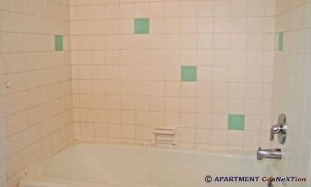 Ceramic Tile Bathtub