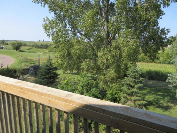 Deck and View