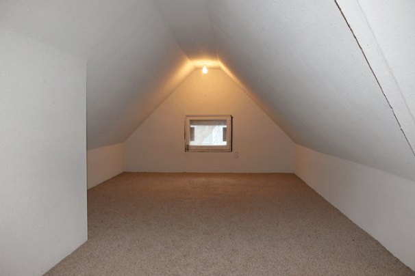 Loft Bonus Room - West