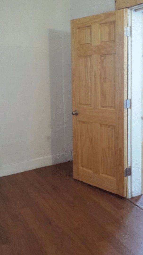 Den / Study / Office Bonus Room