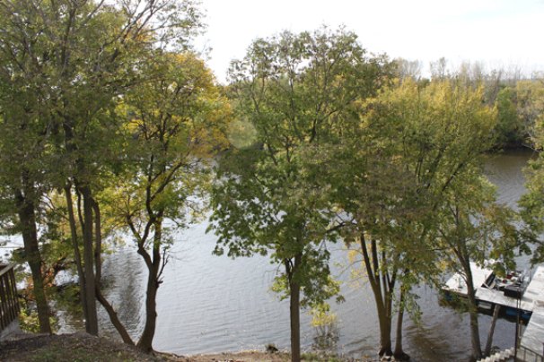 Dock and River View