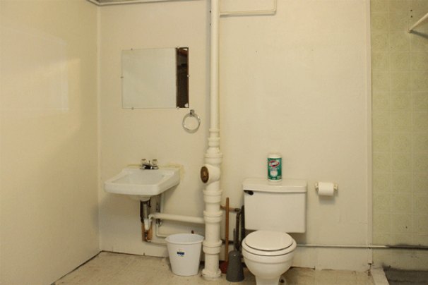 Lower Level Bathroom with Shower