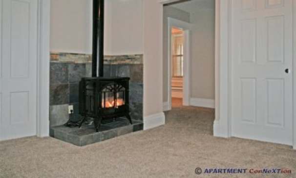 Living Room Fireplace