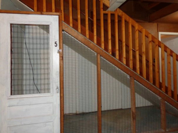 Basement Storage Lockers