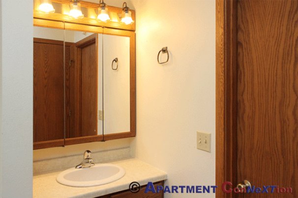 Master Bathroom Vanity (from bedroom)