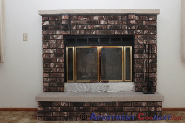 Wood-Burning Fireplace
