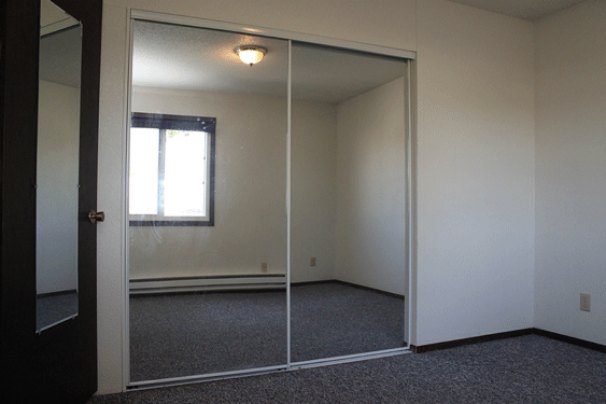 Bedroom Mirror Closet