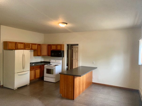 Kitchen and Dining Room