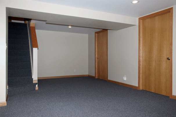 Family Room (Lower Level)