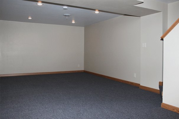 Family Room (Lower Level)