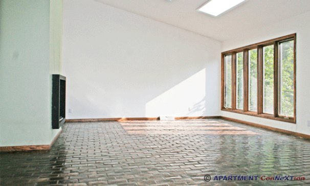 Living Room with Skylights & Fireplace