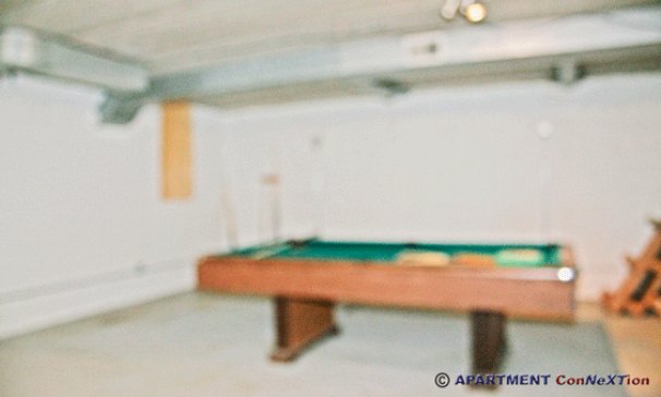 Full Basement with Pool Table