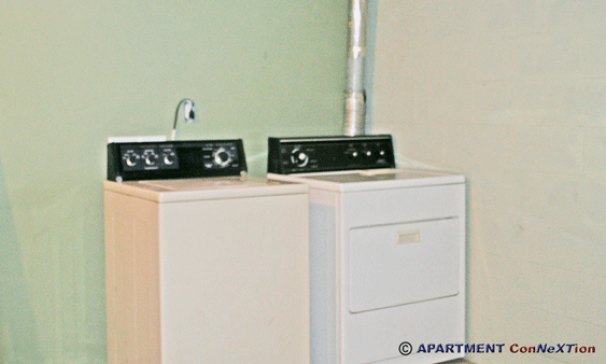 Washer / Dryer (lower level)