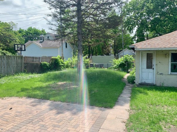 Patio and Yard