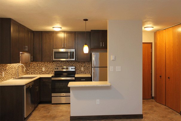 Kitchen from Living Room