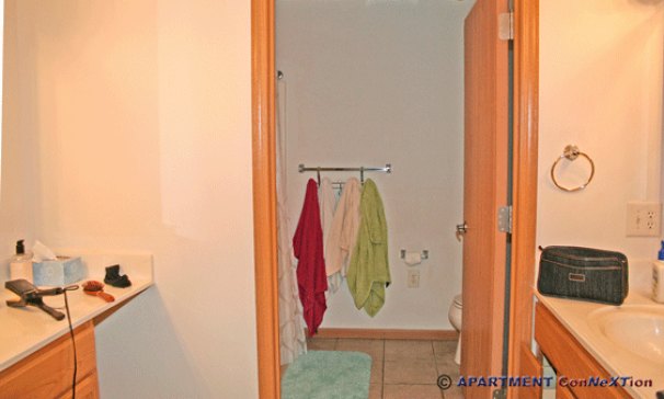 Double Sink Compartmentalized Bathroom