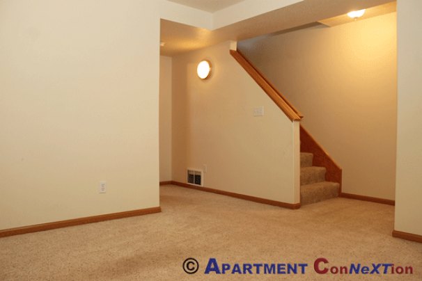 Lower Level Family Room