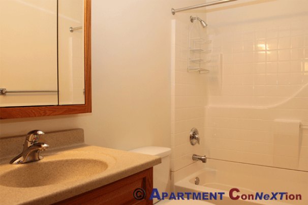 Lower Level Full Bathroom