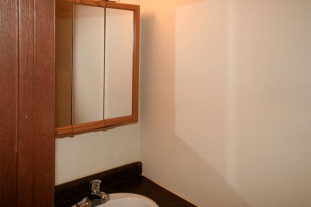Half Bathroom (1st Floor)