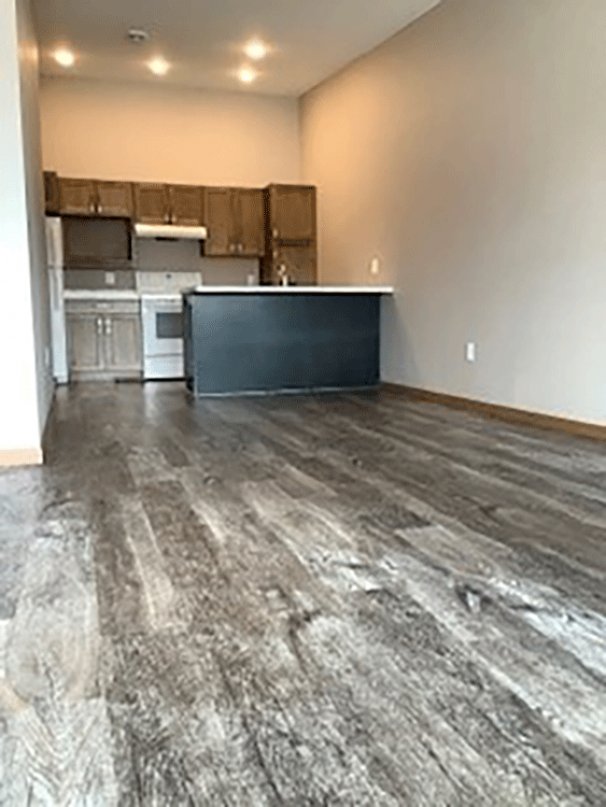 Living Room and Snack Bar Kitchen