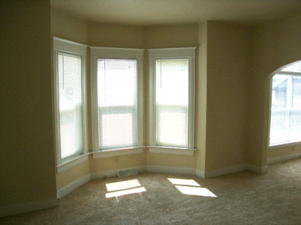 Living Room Bay Windows